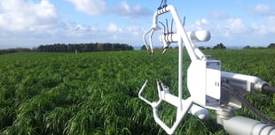 Funding boost for AI crop research in Aberystwyth