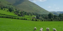 NFU and FUW warn new scheme means farmers face 70% drop in funding