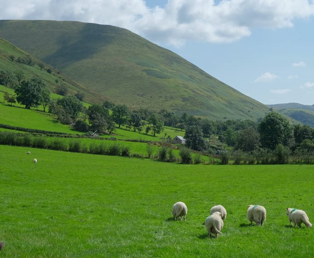 NFU and FUW warn new scheme means farmers face 70% drop in funding