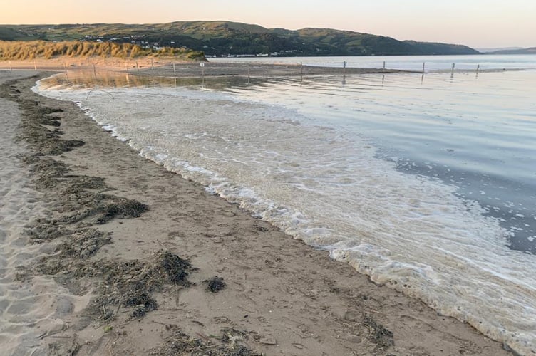 Ynyslas Algae Bloom