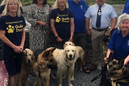 Former guide dogs take on coast path for charity