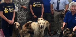 Former guide dogs take on coast path for charity