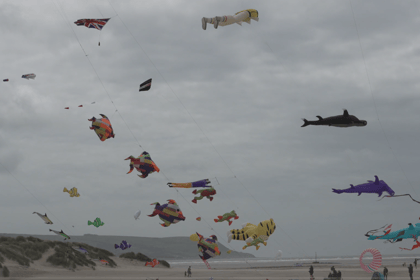 Town holds successful kite festival