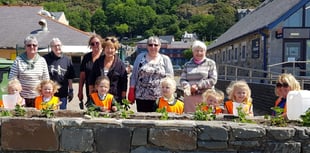 Helpers of all ages plant flowers to keep Barmouth looking beautiful