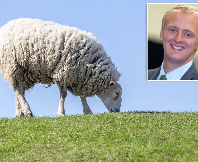 MP in bid to crack down on dog attacks on livestock