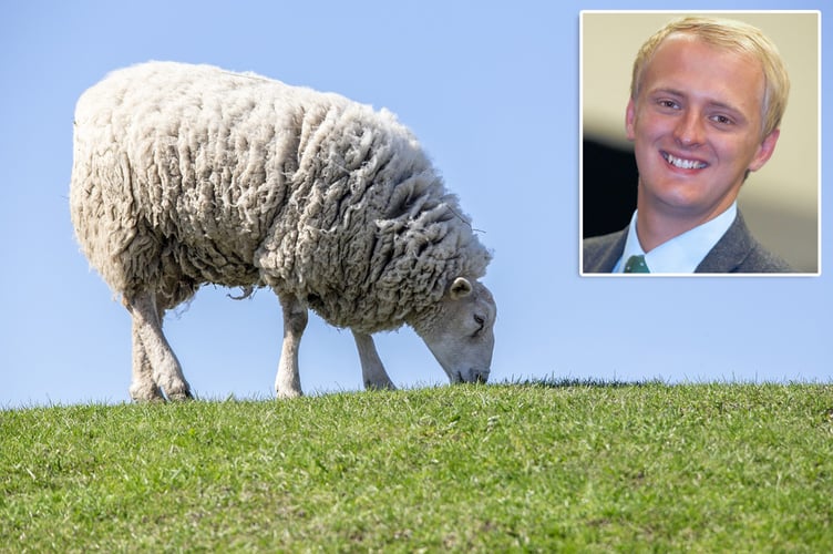 Ben Lake sheep farming