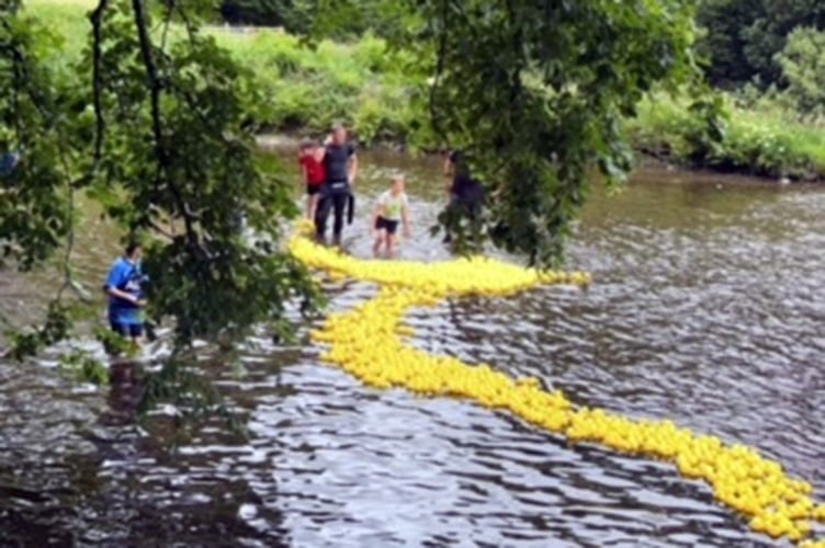 Llanidloes Junior Football Club duck race