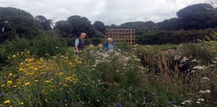 Labour Party members get insight into community gardens