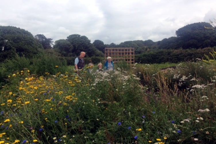 Dyffryn Ardudwy Community Gardens 120723