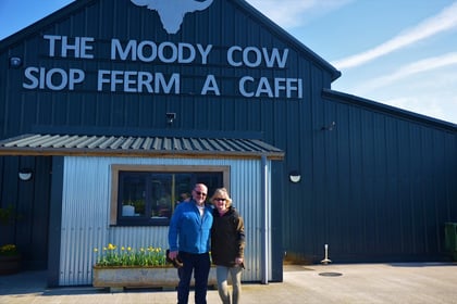 Moody Cow expansion given backing
