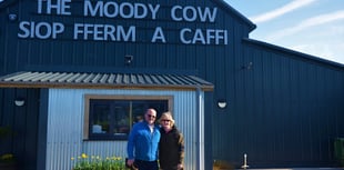 Moody Cow expansion given backing