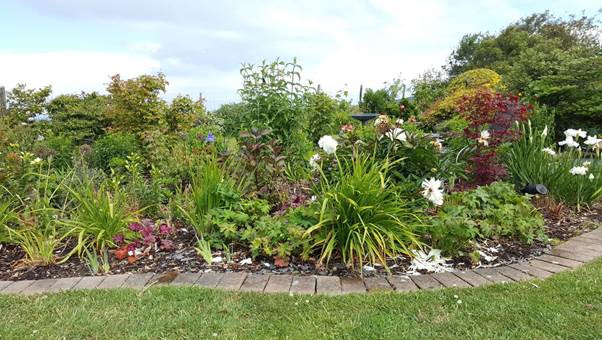 Part of Nonni and David Goadby's beautiful Bryncroes garden