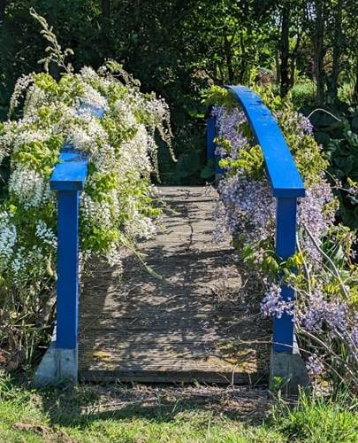 Part of Nonni and David Goadby's beautiful Bryncroes garden