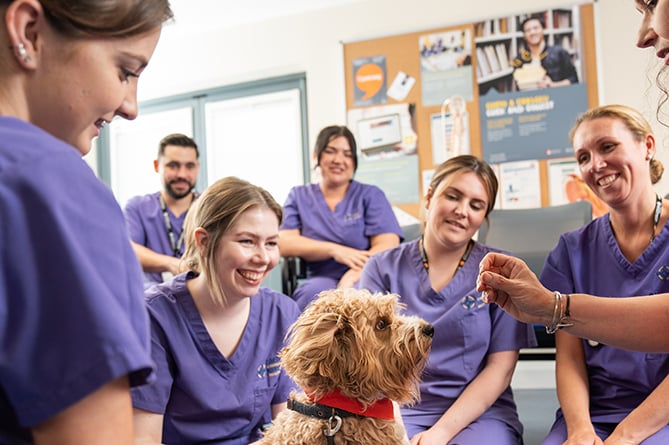 Aberystwyth University nursing