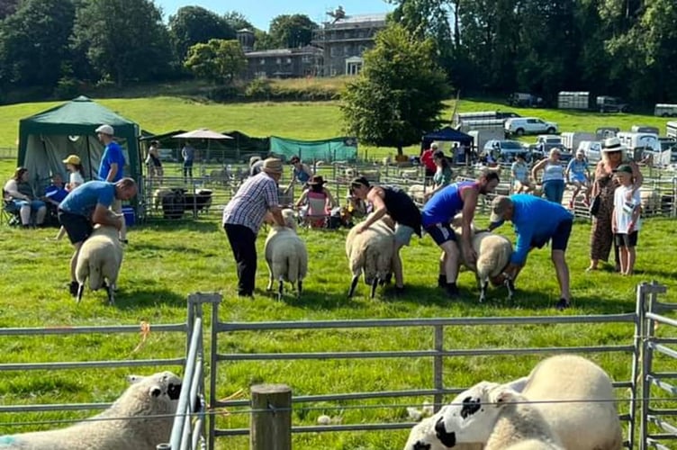 Llanilar Show