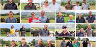 New farming network to drive progress to net zero future