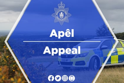 Police launch appeal after Trawsfynydd crash