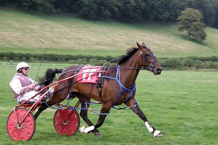 Wales and Border Harness Racing 110823