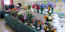 Garden show a success despite ‘poor growing conditions’