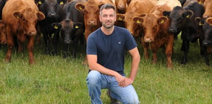 Gwynedd farm benefits from nutrient management planning