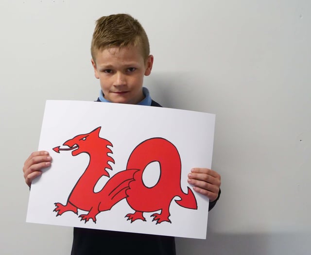 Gwynedd pupil wins national 20mph design competition