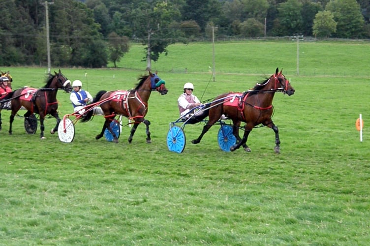 Harness Racing Newbridge 190823