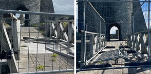 Fresh calls to clean up castle as war memorial marks centenary