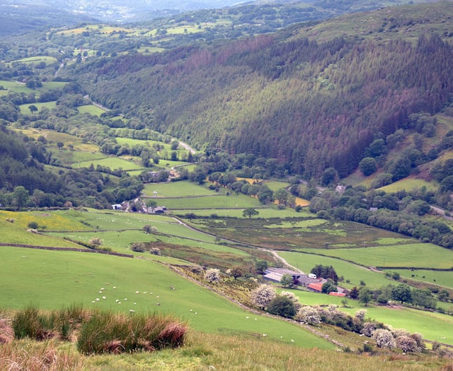 Meirionnydd FUW members looking forward to Harlech-based county show