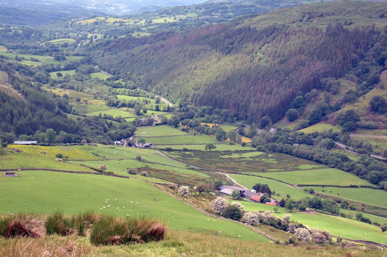 Meirionnydd Show takes place in Harlech tomorrow (Wednesday)