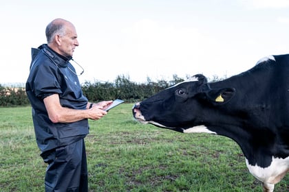 Progress in syndromic surveillance project for Welsh farms