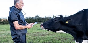 Progress in syndromic surveillance project for Welsh farms