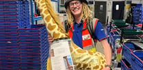 Delivery driver takes giraffe across the UK for ‘life-saving’ surgery