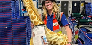 Delivery driver takes giraffe across the UK for ‘life-saving’ surgery