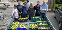 Early start gives boost to Teifi Valley apple juicing