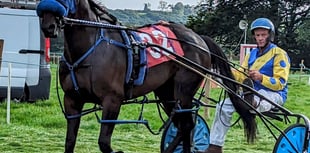 Exciting harness racing at Beulah Show