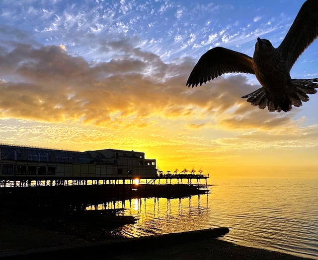 Your fantastic photos of local life and landscape