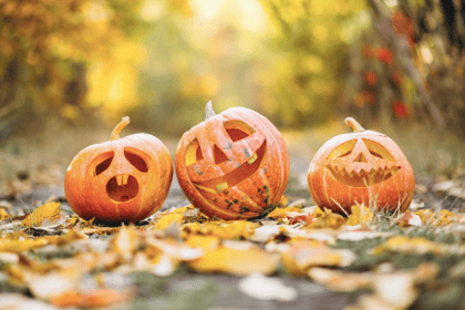 Campaign to encourage good behaviour on Halloween and Bonfire Night
