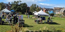 Festival to cap off Aber Food Surplus food-growing project