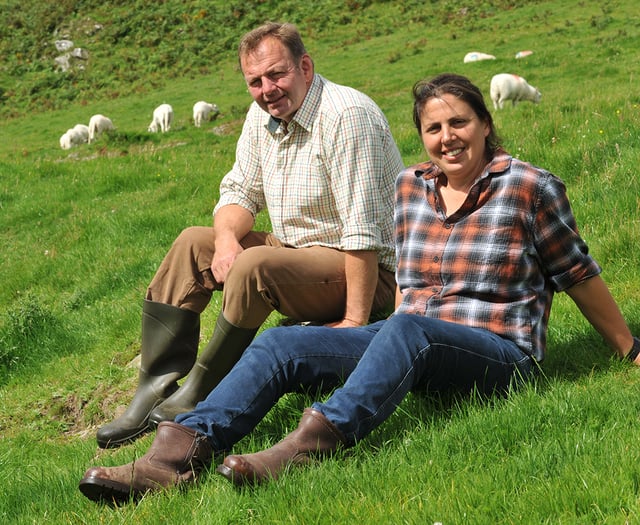 Sheep farmers put focus on genetics to develop well-adapted flock