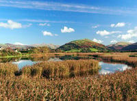 Red kites, robins and autumn days in readers' fantastic photos