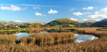 Red kites, robins and autumn days in readers' fantastic photos