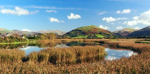 Red kites, robins and autumn days in readers' fantastic photos