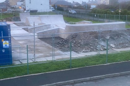 Delayed skatepark opening event will take place this summer