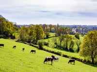 NFU voices concerns over future viability of farming in Wales