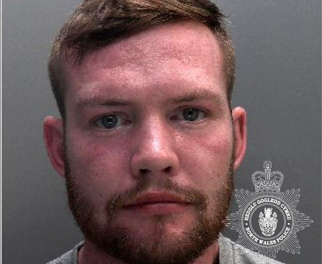 Blaenau man sentenced for domestic violence offences