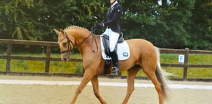 Dressage rider Amy and Perdy ‘honoured’ to represent Wales