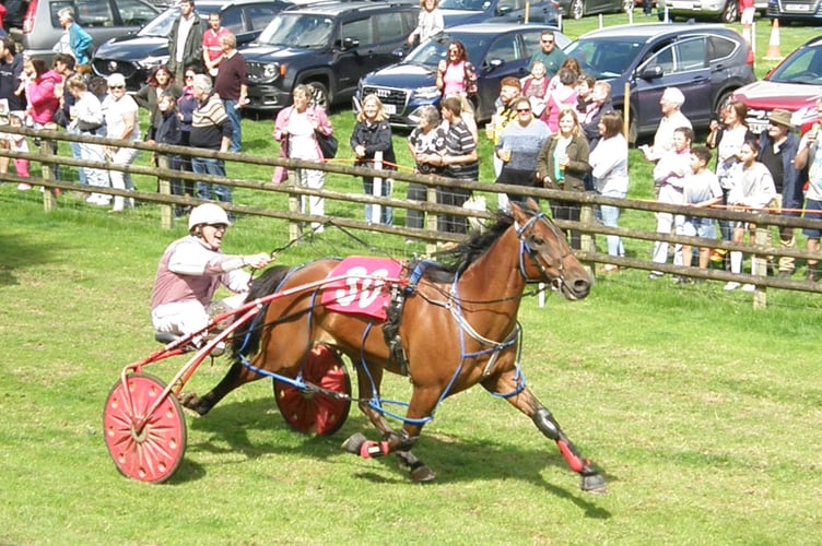 Wales & Border Harness RAcing