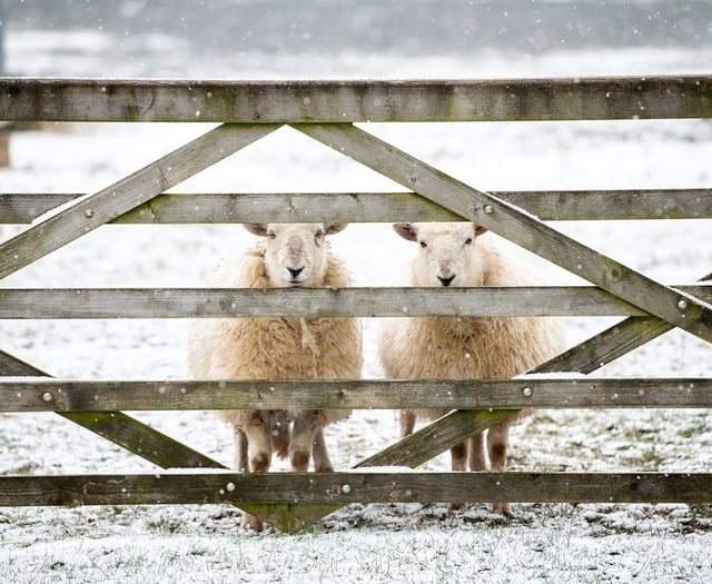 Snow and ice leads to closure of 27 schools, one college and a library