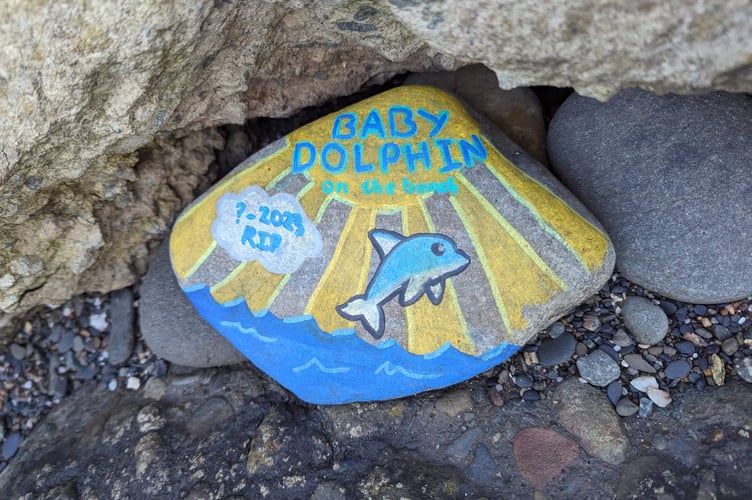 The baby dolphin is memorialised here by Elaine's granddaughter