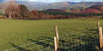 Glyndŵr’s Way awaits Meirionnydd Ramblers